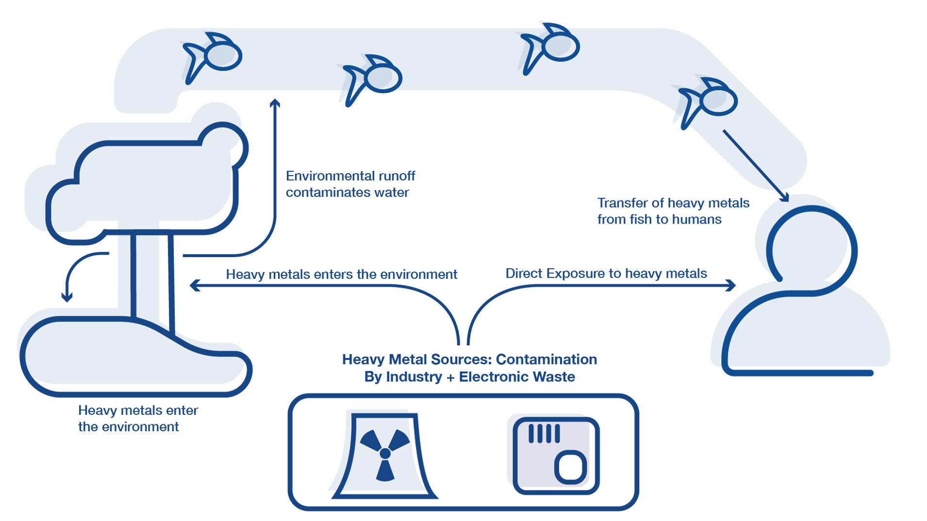 how-to-test-for-heavy-metals-in-food-other-products